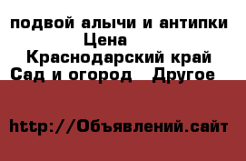 подвой алычи и антипки › Цена ­ 2 - Краснодарский край Сад и огород » Другое   